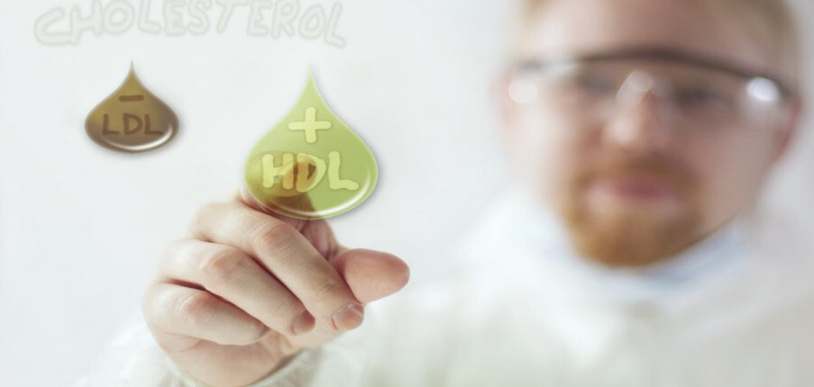 Sự khác biệt giữa LDL, HDL và bí quyết cân bằng nồng độ cholesterol
