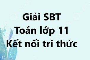 Giải SBT Toán 11 (Kết nối tri thức) Bài 3: Hàm số lượng giác