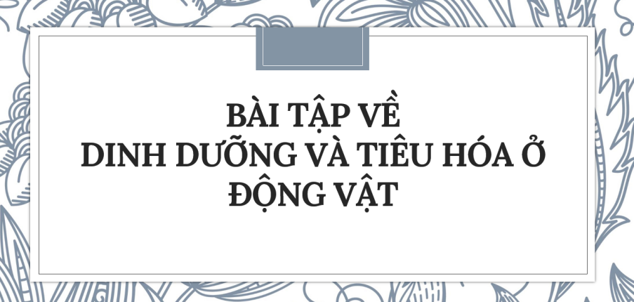 30 bài tập về Dinh dưỡng và tiêu hóa ở động vật (2024) có đáp án chi tiết nhất