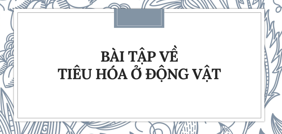 30 bài tập về Tiêu hóa ở động vật (2024) có đáp án chi tiết nhất