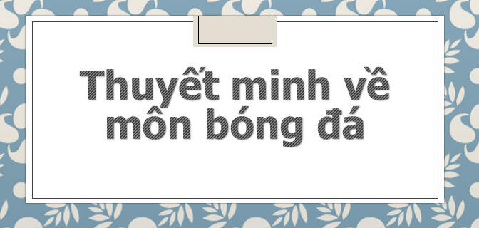 TOP 10 mẫu Thuyết minh về môn bóng đá (2024) SIÊU HAY