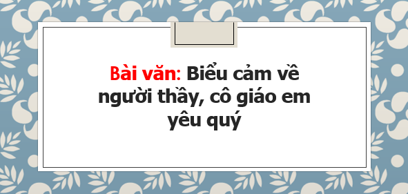 TOP 30 bài văn Biểu cảm về người thầy, cô giáo em yêu quý (2024) SIÊU HAY