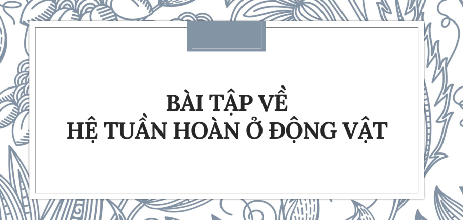 30 Bài tập về Hệ tuần hoàn ở động vật (2024) có đáp án chi tiết nhất