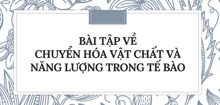 30 Bài tập về Chuyển hóa vật chất và năng lượng trong tế bào (2024) có đáp án chi tiết nhất