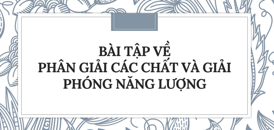 30 bài tập về Phân giải các chất và giải phóng năng lượng (2024) có đáp án chi tiết nhất