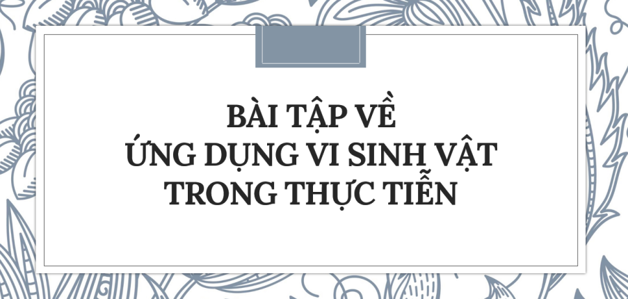 30 Bài tập về Ứng dụng vi sinh vật trong thực tiễn (2024) có đáp án chi tiết nhất