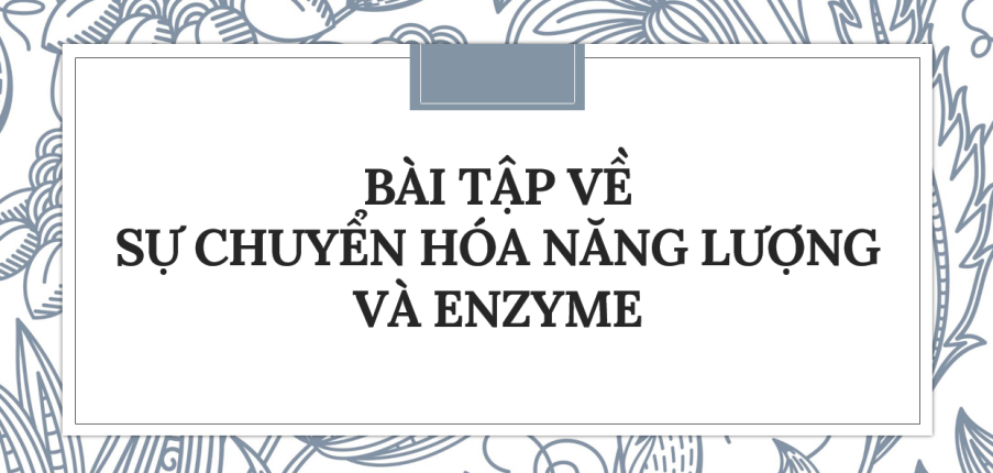 30 Bài tập về Sự chuyển hóa năng lượng và enzyme (2024) có đáp án chi tiết nhất