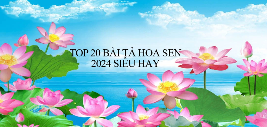 TOP 20 Bài văn Tả hoa sen (2024) SIÊU HAY