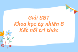 Sách bài tập Khoa học tự nhiên 8 Kết nối tri thức | Giải SBT KHTN 8 hay, chi tiết