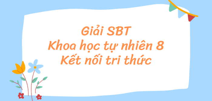 Sách bài tập Khoa học tự nhiên 8 Kết nối tri thức | Giải SBT KHTN 8 hay, chi tiết