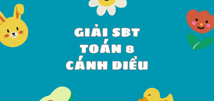 Giải SBT Toán 8 (Cánh diều) Bài 4: Đồ thị hàm số bậc nhất y = ax + b (a ≠ 0)