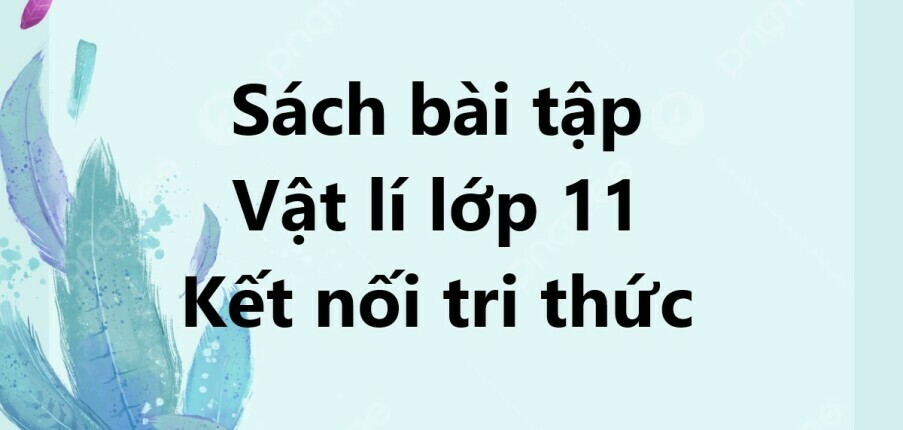 Giải SBT Vật lí 11 (Kết nối tri thức) Bài 12: Giao thoa sóng