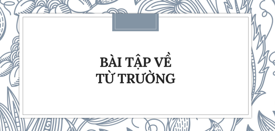 30 Bài tập về Từ trường (2024) có đáp án chi tiết nhất