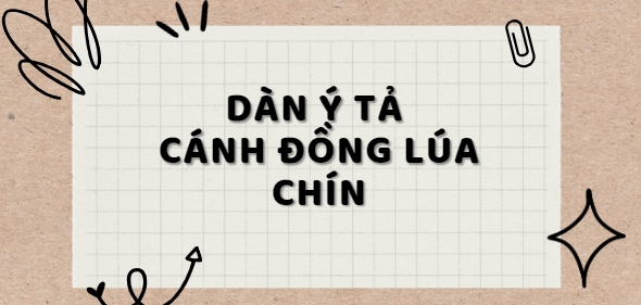 TOP 10 Dàn ý tả cánh đồng lúa chín (2024) SIÊU HAY