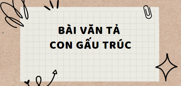 TOP 10 Bài văn Tả con gấu trúc (2024) SIÊU HAY