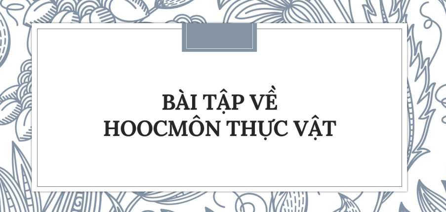 30 Bài tập về Hoocmôn thực vật (2024) có đáp án chi tiết nhất