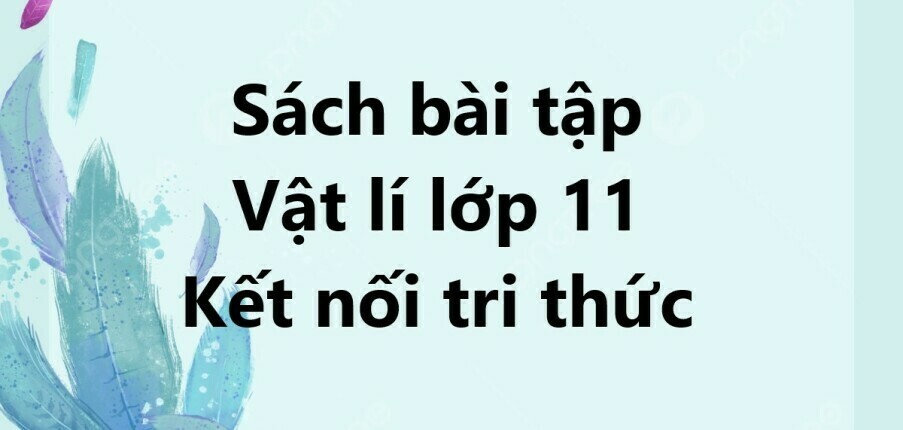 Giải SBT Vật lí 11 (Kết nối tri thức) Bài 24: Nguồn điện