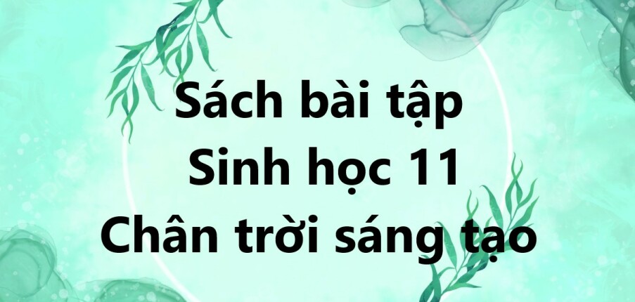 Sách bài tập Sinh học 11 Chân trời sáng tạo | Giải SBT Sinh học 11 Chân trời sáng tạo (hay, chi tiết)