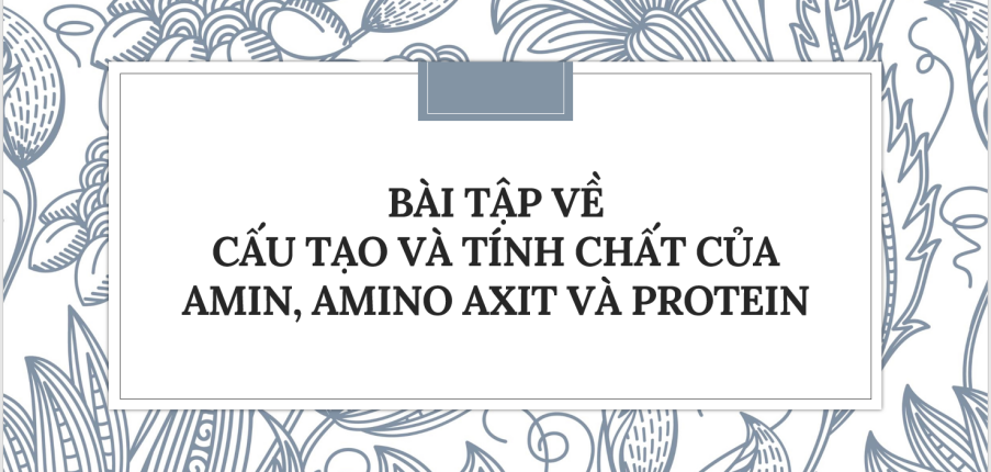 30 Bài tập về Cấu tạo và tính chất của amin, amino axit và protein (2024) có đáp án chi tiết nhất