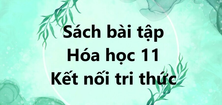 Giải SBT Hoá học 11 (Kết nối tri thức) Bài 1: Khái niệm về cân bằng hoá học