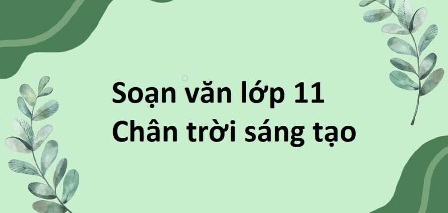 Soạn bài Thực hành tiếng Việt lớp 11 trang 23 Tập 2 | Chân trời sáng tạo