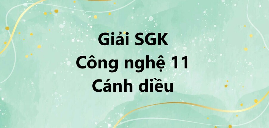 Giải SGK Công nghệ 11 (Cánh diều) Bài 18: Quy trình nuôi dưỡng và chăm sóc một số loại vật nuôi