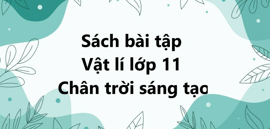 Giải SBT Vật lí 11 (Chân trời sáng tạo) Bài 8: Giao thoa sóng