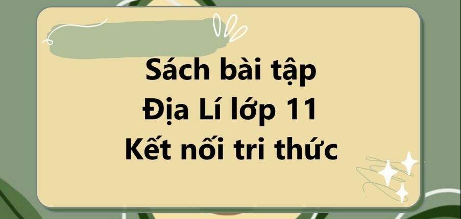 Giải SBT Địa Lí 11 (Kết nối tri thức) Bài 1: Sự khác biệt về trình độ phát triển kinh tế - xã hội của các nhóm nước