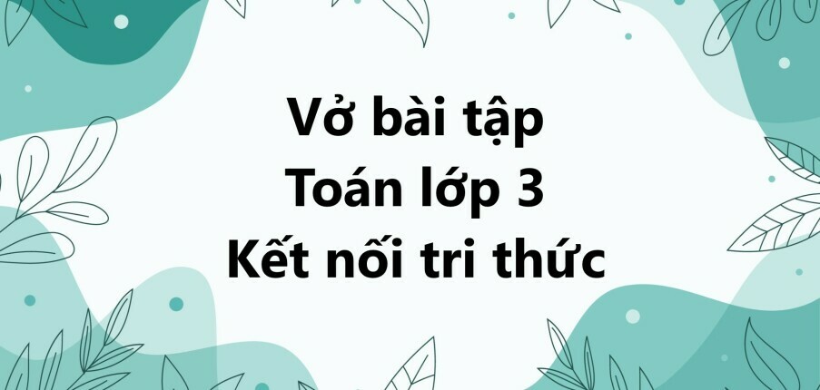 Vở bài tập Toán lớp 3 trang 11, 12 Bài 4: Ôn tập bảng nhân 2; 5, bảng chia 2; 5 - Kết nối tri thức