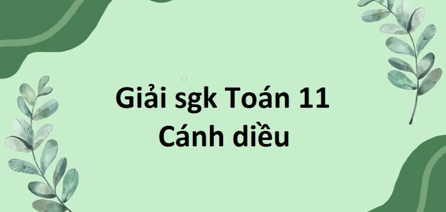 Giải SGK Toán 11 (Cánh diều) Bài tập cuối chương 8