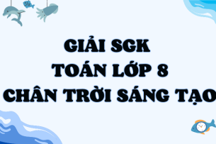 Giải SGK Toán 8 (Chân trời sáng tạo) Bài tập cuối chương 8