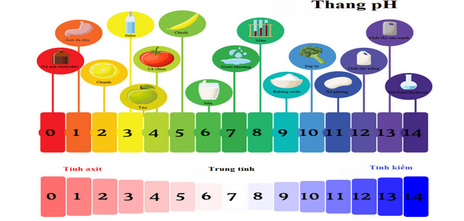 Tình trạng giảm axit dạ dày: 6 cách khắc phục