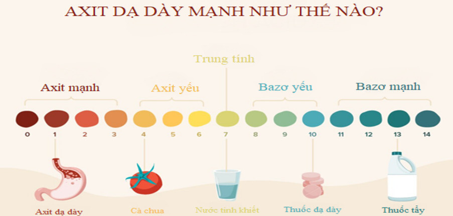 Axit dạ dày mạnh như thế nào? Tình trạng tăng- giảm axit dạ dày