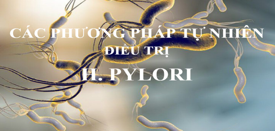 8 phương pháp tự nhiên nào điều trị H. pylori tốt nhất?