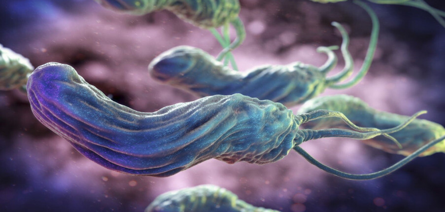 Những điều cần biết về H.pylori: Cách bạn bị nhiễm, triệu chứng, chẩn đoán và điều trị