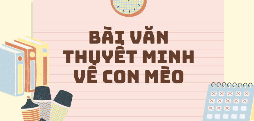 TOP 50 Bài văn Thuyết minh về con mèo (2024) SIÊU HAY