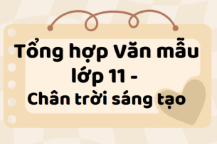 Tổng hợp Văn mẫu lớp 11 (2024) Chân trời sáng tạo SIÊU HAY