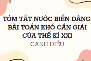 Tóm tắt Nước biển dâng: Bài toán khó cần giải trong thế kỉ XXI (10 mẫu) 2024 mới nhất - Cánh diều