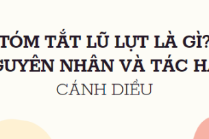 Tóm tắt Lũ lụt là gì? Nguyên nhân và tác hại (10 mẫu) 2024 mới nhất - Cánh diều