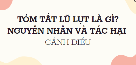 Tóm tắt Lũ lụt là gì? Nguyên nhân và tác hại (10 mẫu) 2024 mới nhất - Cánh diều