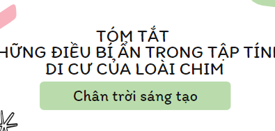 Tóm tắt Những điều bí ẩn trong tập tính di cư của các loài chim (10 mẫu) 2024 mới nhất - Chân trời sáng tạo