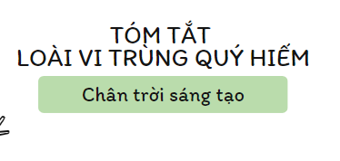 Tóm tắt Loại vi trùng quý hiếm (10 mẫu) 2024 mới nhất - Chân trời sáng tạo