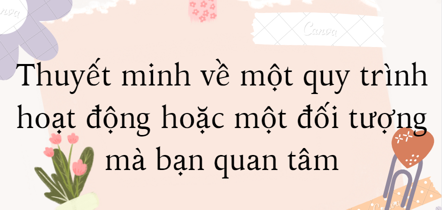 TOP 10 Bài văn Thuyết minh về một quy trình hoạt động hoặc một đối tượng mà bạn quan tâm (2024) HAY NHẤT