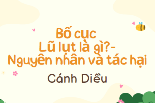 Bố cục Lũ lụt là gì? – Nguyên nhân và tác hại (2024) chính xác nhất lớp 8 - Cánh diều