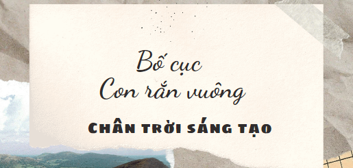 Bố cục Con rắn vuông (2024) chính xác nhất lớp 8 - Chân trời sáng tạo