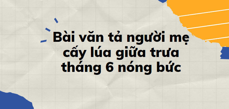 TOP 10 Đoạn văn tả người mẹ cấy lúa giữa trưa tháng 6 nóng bức (2024) SIÊU HAY