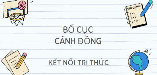 Bố cục Cánh đồng (2024) chính xác nhất lớp 10 - Kết nối tri thức