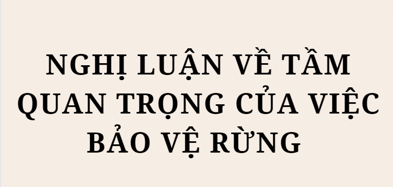 TOP 5 Bài văn Nghị luận về tầm quan trọng của việc bảo vệ rừng (2024) HAY NHẤT