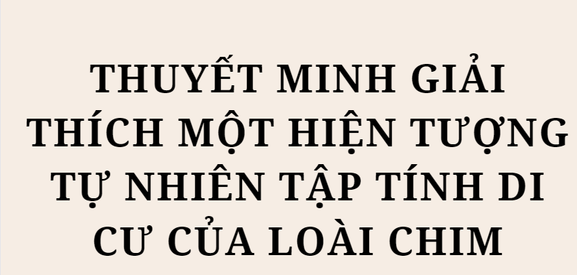 TOP 10 Bài mẫu Thuyết minh giải thích một hiện tượng tự nhiên tập tính di cư của loài chim (2024) HAY NHẤT