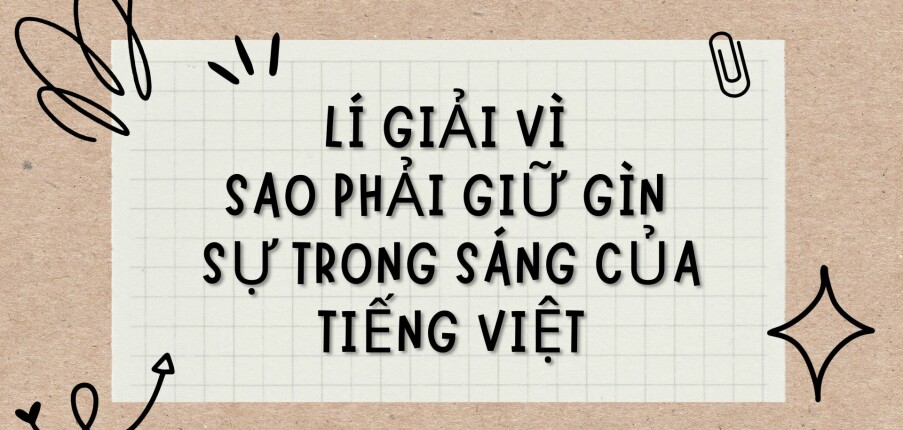 TOP 8 Bài văn Lí giải vì sao phải giữ gìn sự trong sáng của tiếng Việt (2024) HAY NHẤT